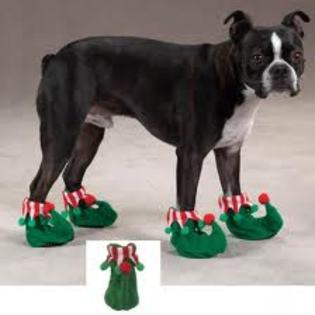 images (6) - poze frumoase