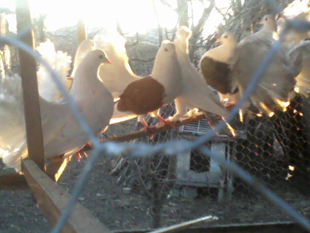 P16-12-11_16.20[1]