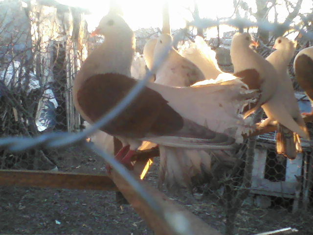 P16-12-11_16.20[2]