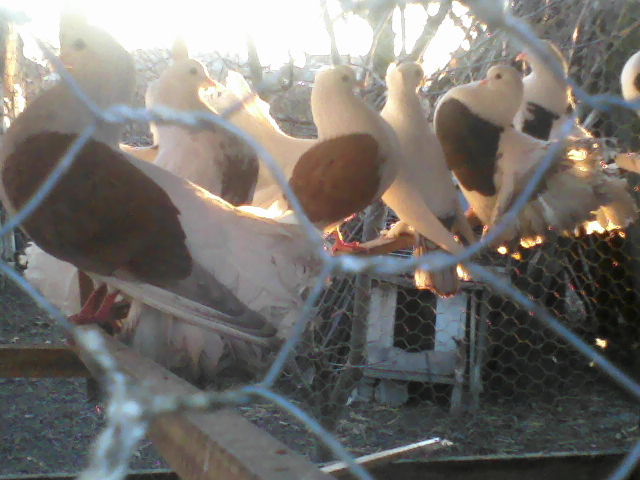 P16-12-11_16.20[3]