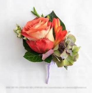 images (13) - poze flori