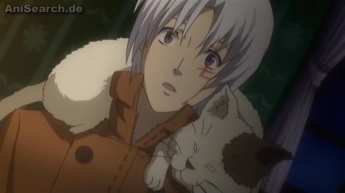 allen 15