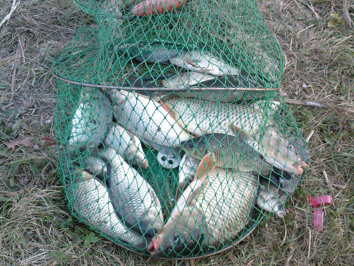 oct 2011 - zz - fishing - colectia de monstri
