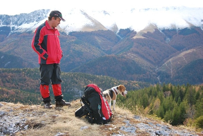 DSC_0298 - CATEUL BEAGLE PE MUNTE