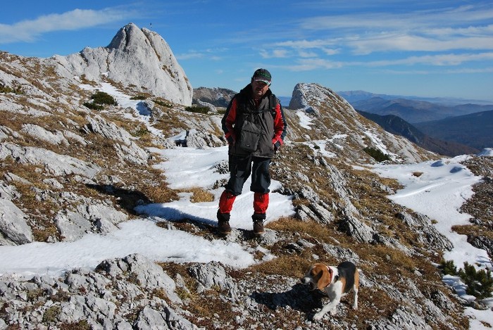 DSC_0394 - CATEUL BEAGLE PE MUNTE