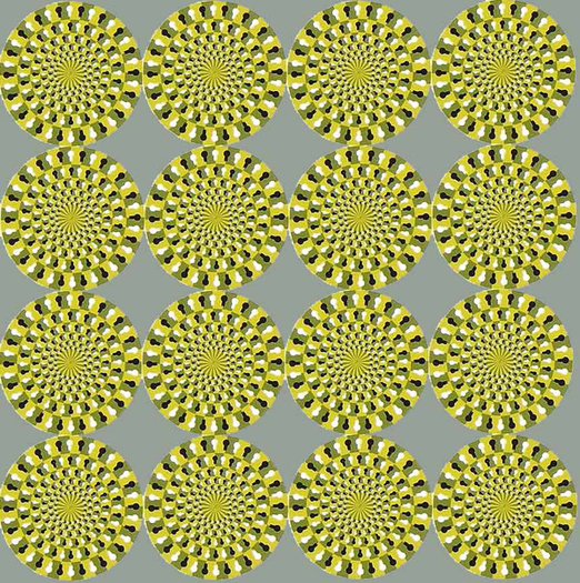 optical-illusions-025