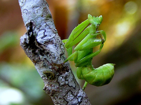 World-In-Photo42 - Poze de pe tot globul