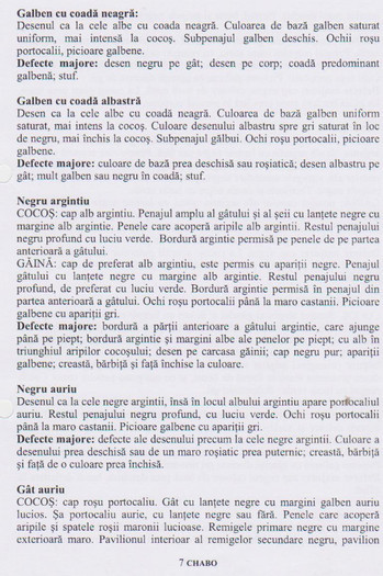 chabo 7 - Standard rase pasari