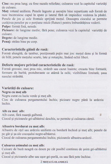 motata olandeza 2