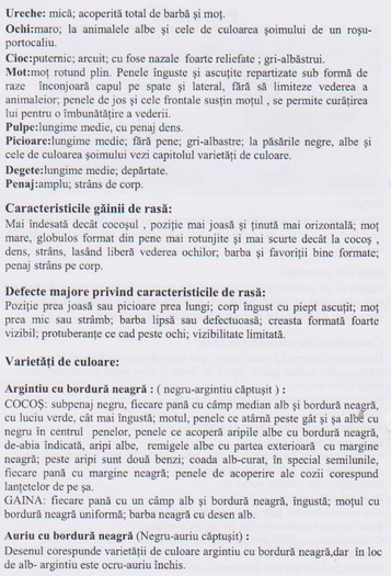 paduana 2