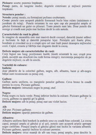 cochin pitic 2
