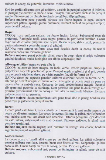 cochin pitic 3