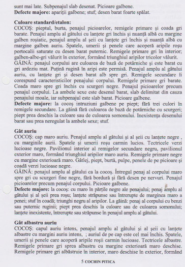 cochin pitic 5