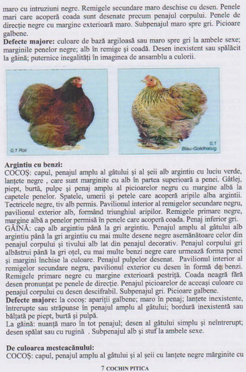 cochin pitic 7