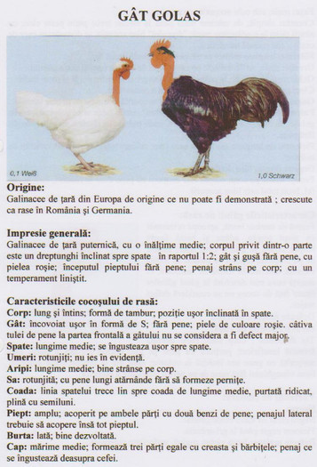 gat golas 1