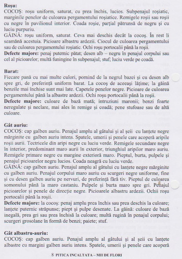 mii de flori 7 - Standard rase pasari
