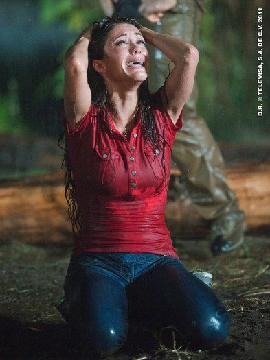 91258358188636296567