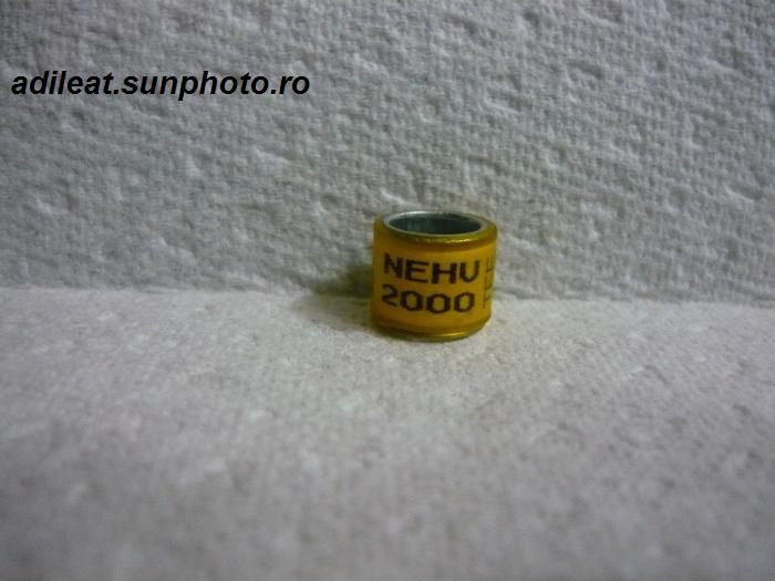ANGLIA-2000-NEHU - ANGLIA-NEHU-ring collection