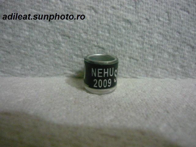 ANGLIA-2009-NEHU - ANGLIA-NEHU-ring collection