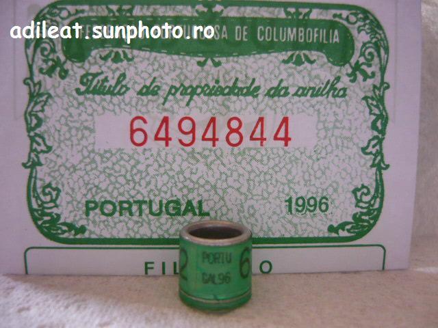 PORTUGALIA-1996 - PORTUGALIA-ring collection