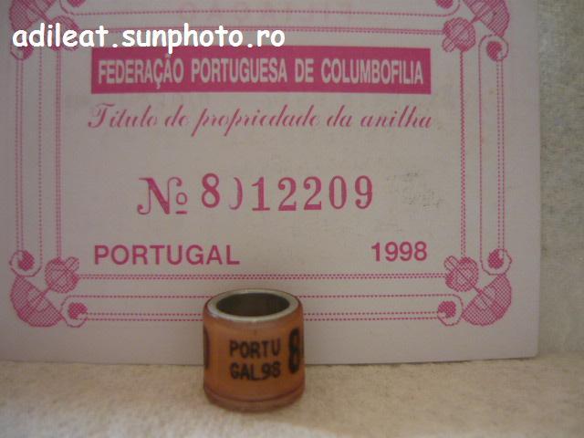 PORTUGALIA-1998 - PORTUGALIA-ring collection