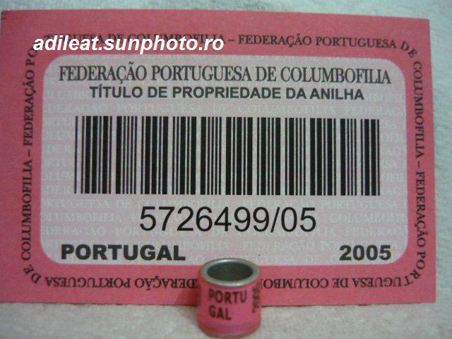 PORTUGALIA-2005 - PORTUGALIA-ring collection