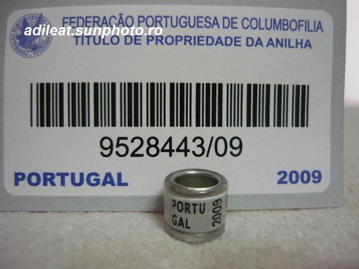 PORTUGALIA-2009 - PORTUGALIA-ring collection