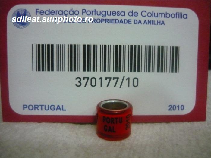 PORTUGALIA-2010 - PORTUGALIA-ring collection