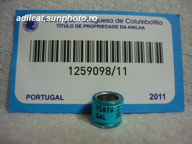 PORTUGALIA-2011 - PORTUGALIA-ring collection