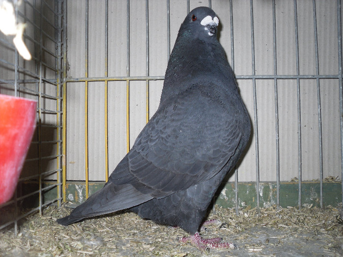 SDC13142