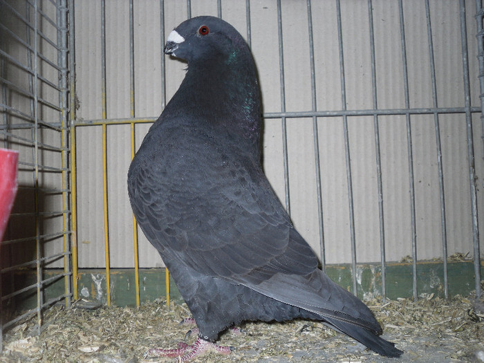 SDC13143