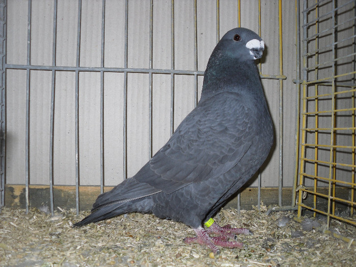 SDC13145