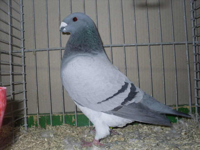 SDC13149