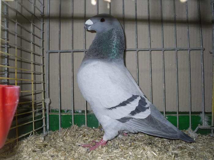 SDC13150