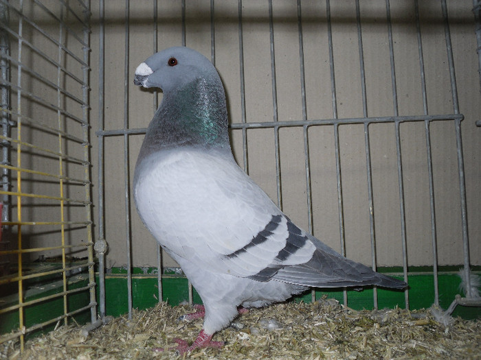 SDC13151