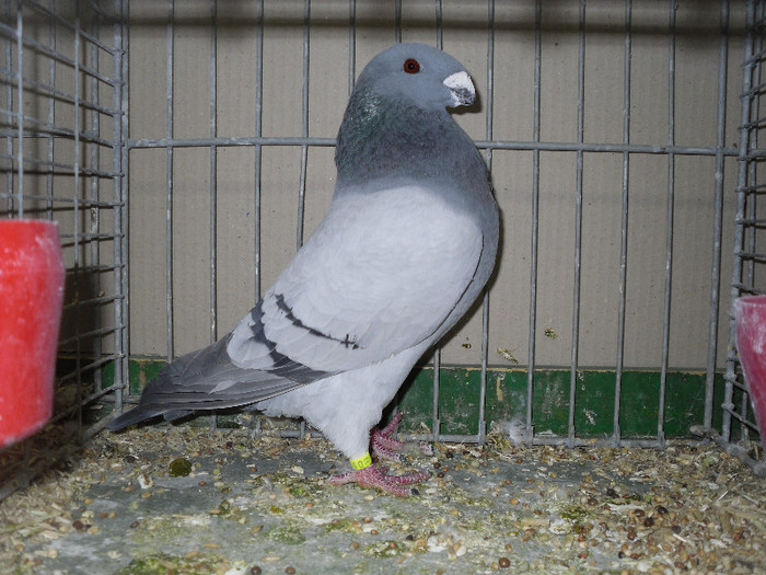 SDC13159