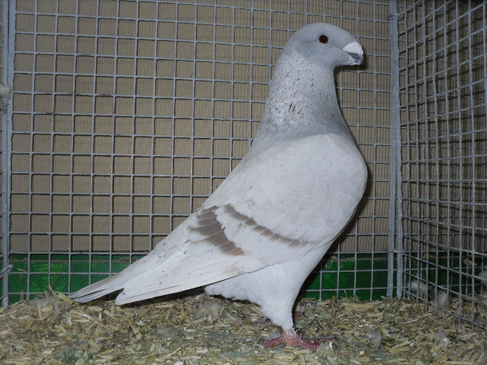 SDC13167