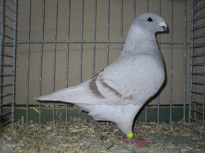 SDC13174