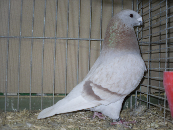 SDC13175
