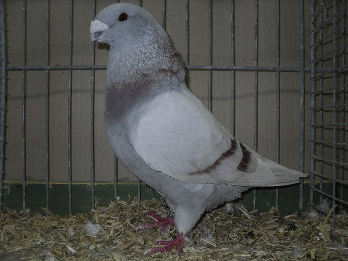 SDC13179