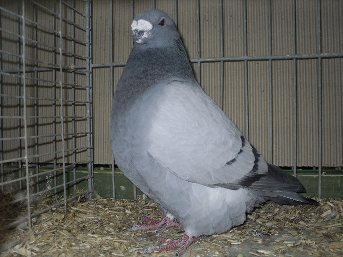 SDC13192