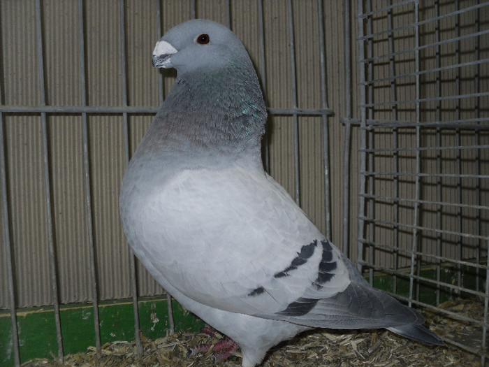 SDC13202