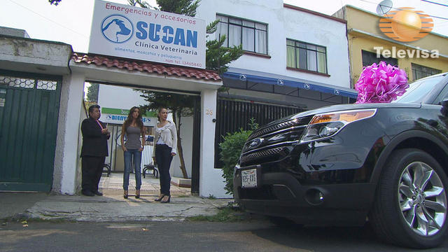 31325131592113351908