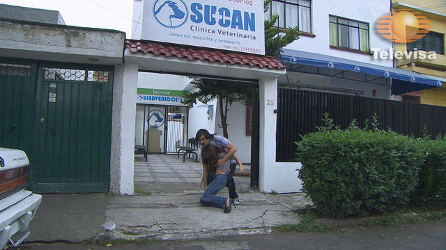 36428846471391279643