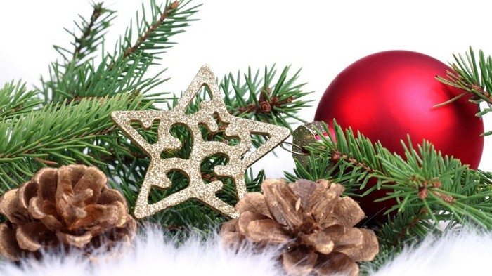 ornament_glob-cetina