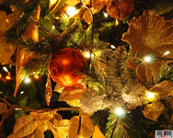 wallpaper_ornamente-brad-craciun (2) - Craciun
