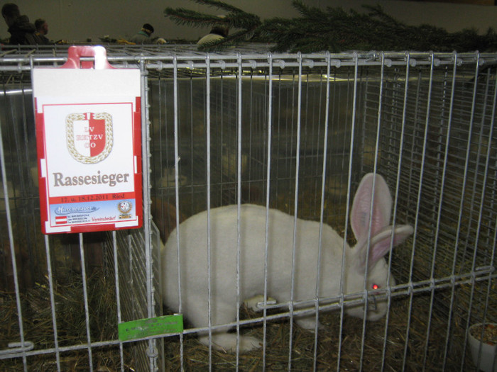 5 uriasi cu 97,5 puncte - Mahringer Franz campion Austria 2010