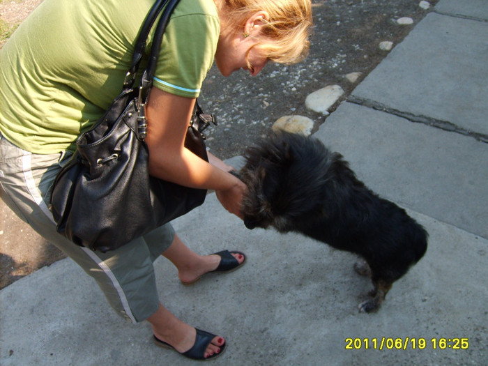 S5003031 - Vestitul Pasaj 1 NICOLAE TITULESCU