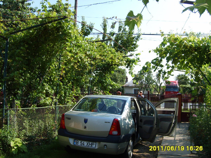 S5003033 - Vestitul Pasaj 1 NICOLAE TITULESCU