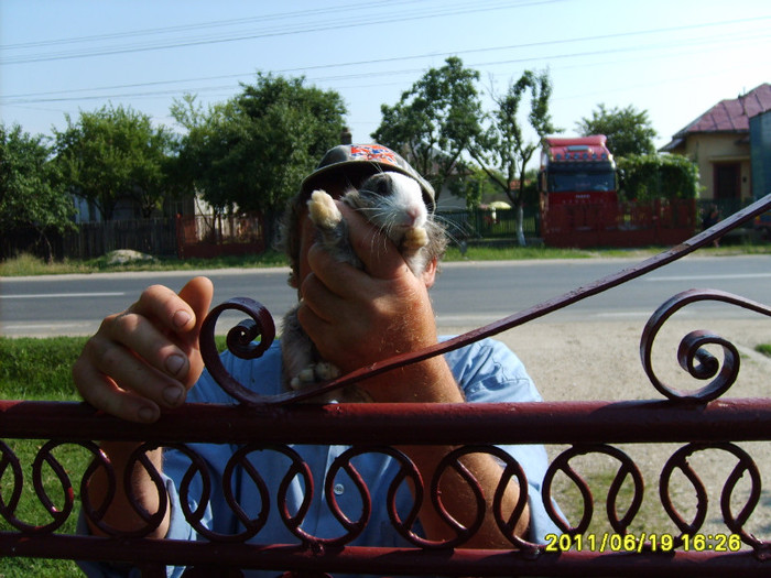 S5003036 - Vestitul Pasaj 1 NICOLAE TITULESCU